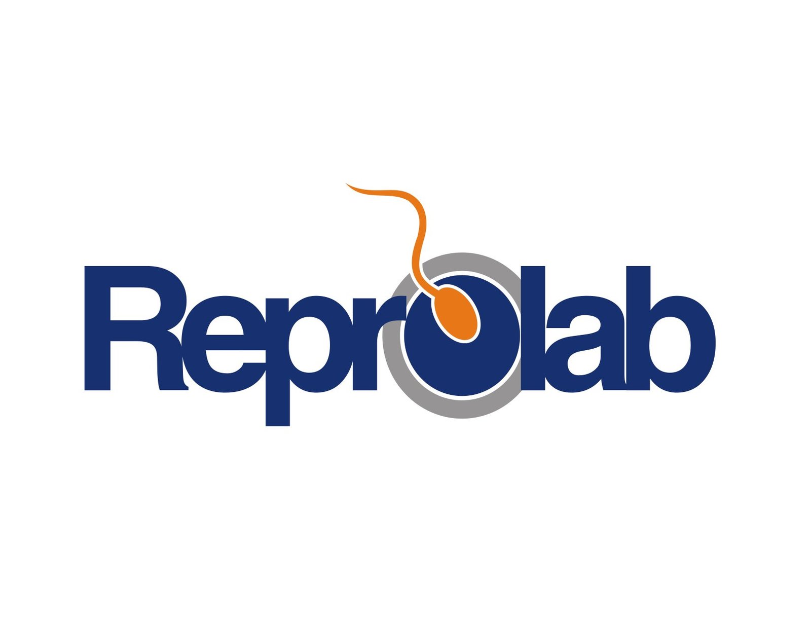 Supporting Sponsor 6